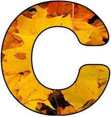 Herbstbuchstabe-2-C.jpg